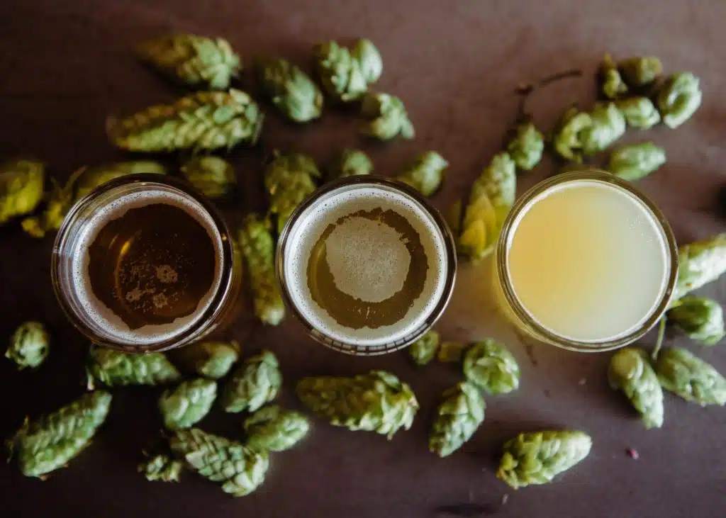 À la découverte des Single Hop Beers : quand un seul houblon fait toute la différence